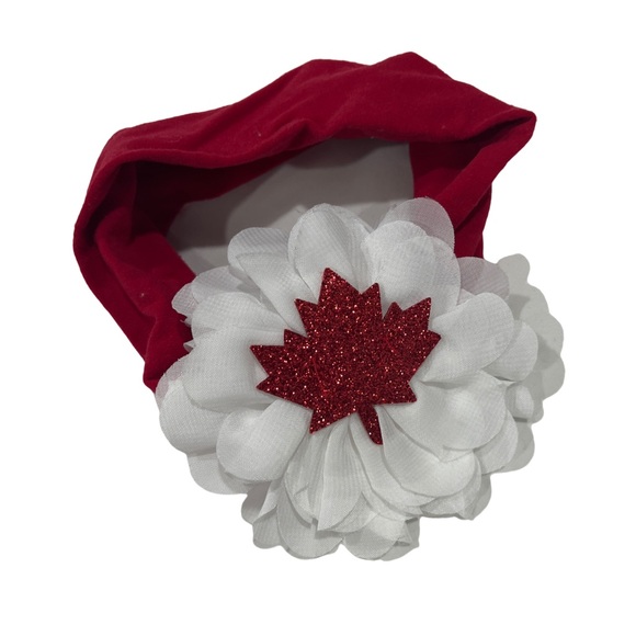 Other - Matching Red Dress and Bandana